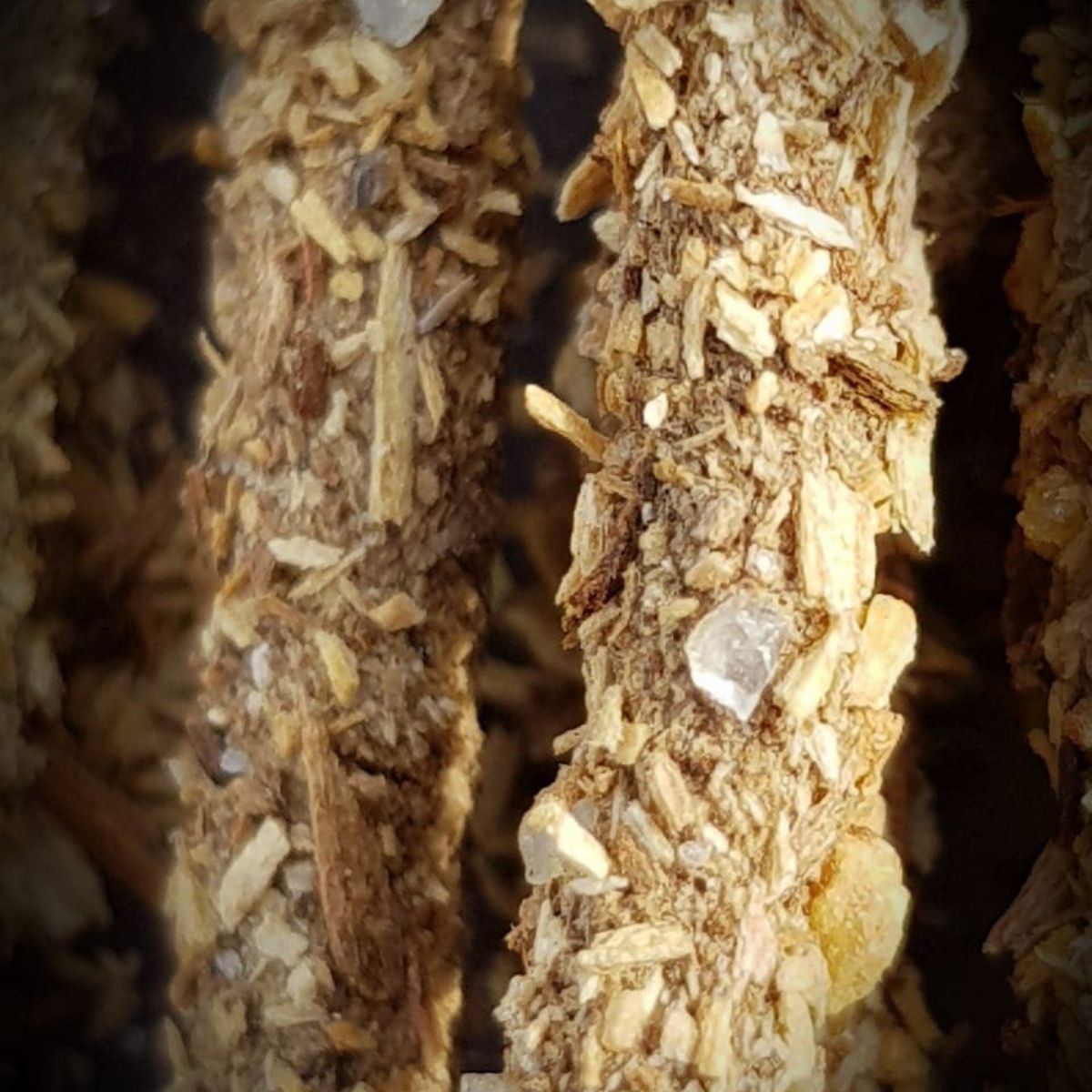 Sahumerio Palo Santo con Incienso