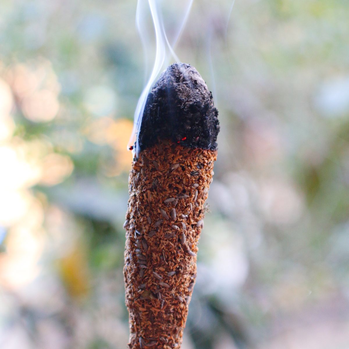 Sahúmo Sagrado 10 Hierbas