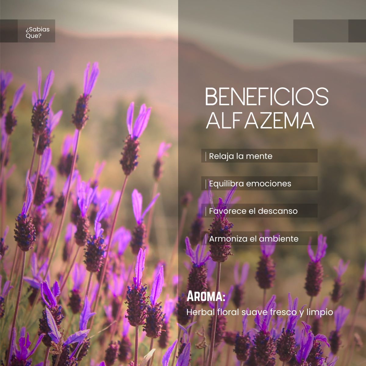 Aceite Aromático de Alfazema