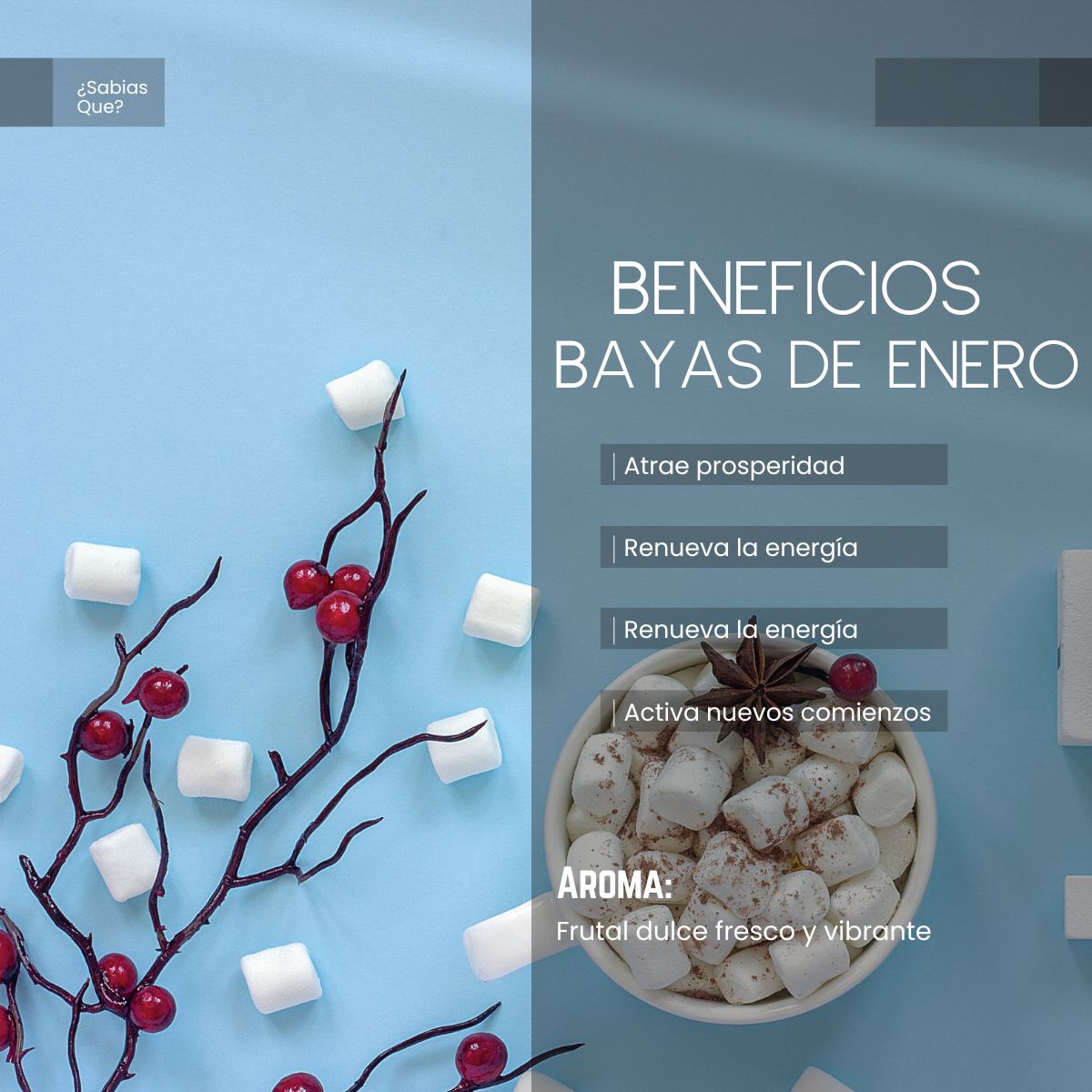 Aceite Esencial Bayas de Enebro