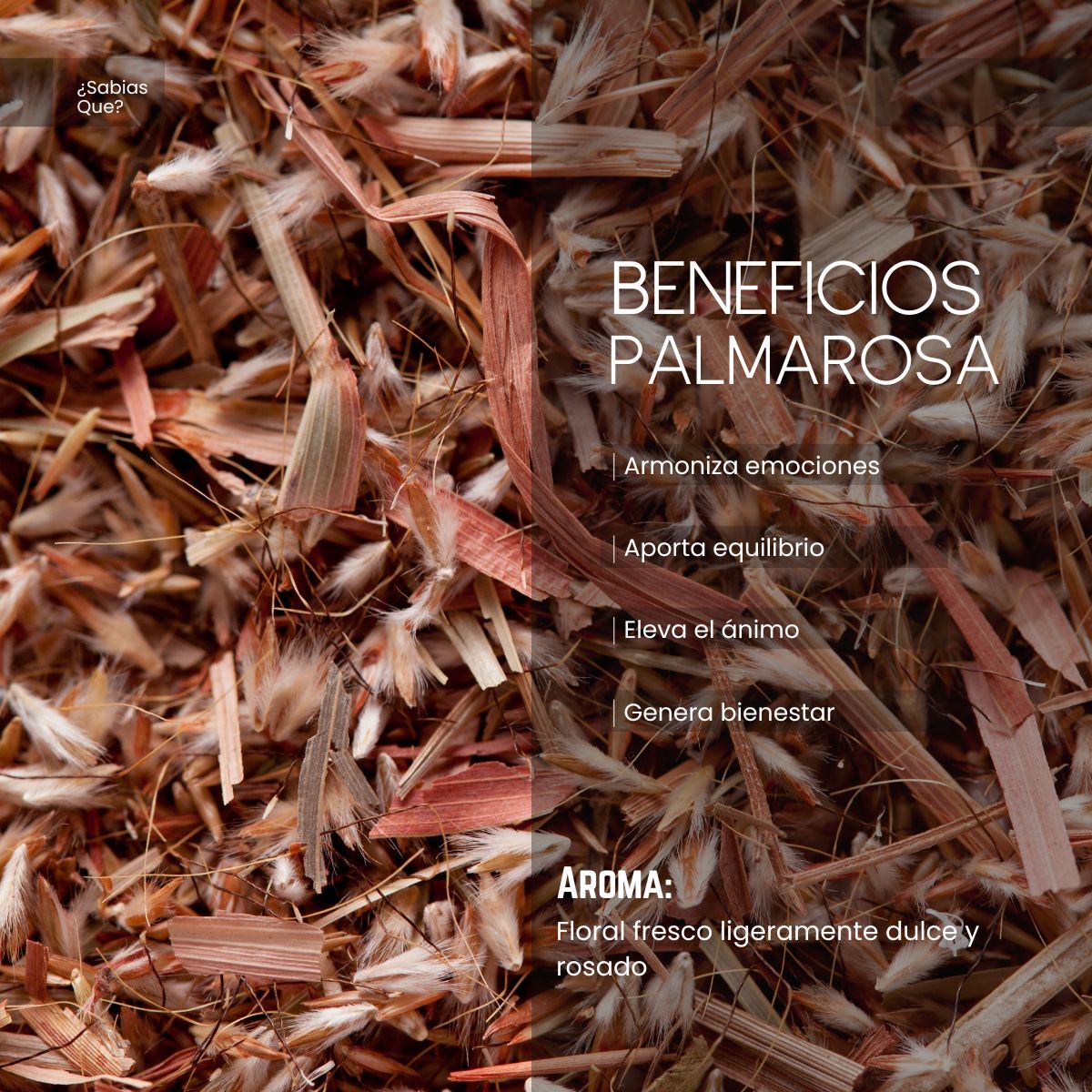 Aceite Esencial Palmarosa