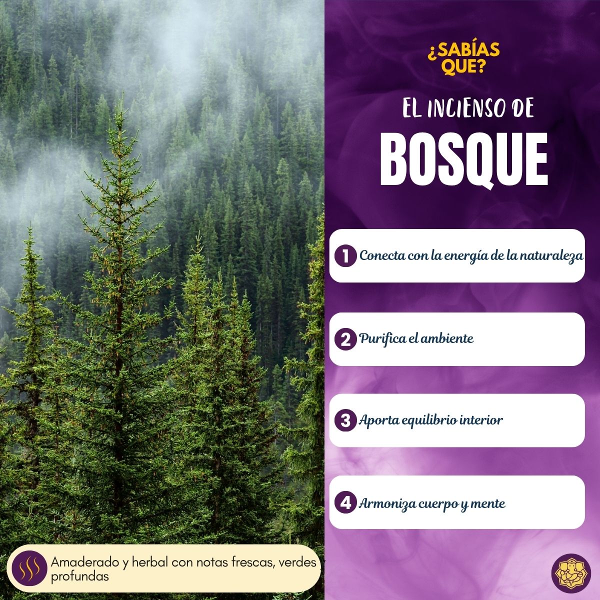 Incienso Bosque Ayurvedico