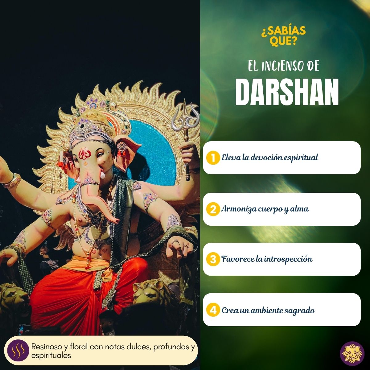 Incienso Golden Nag Darshan