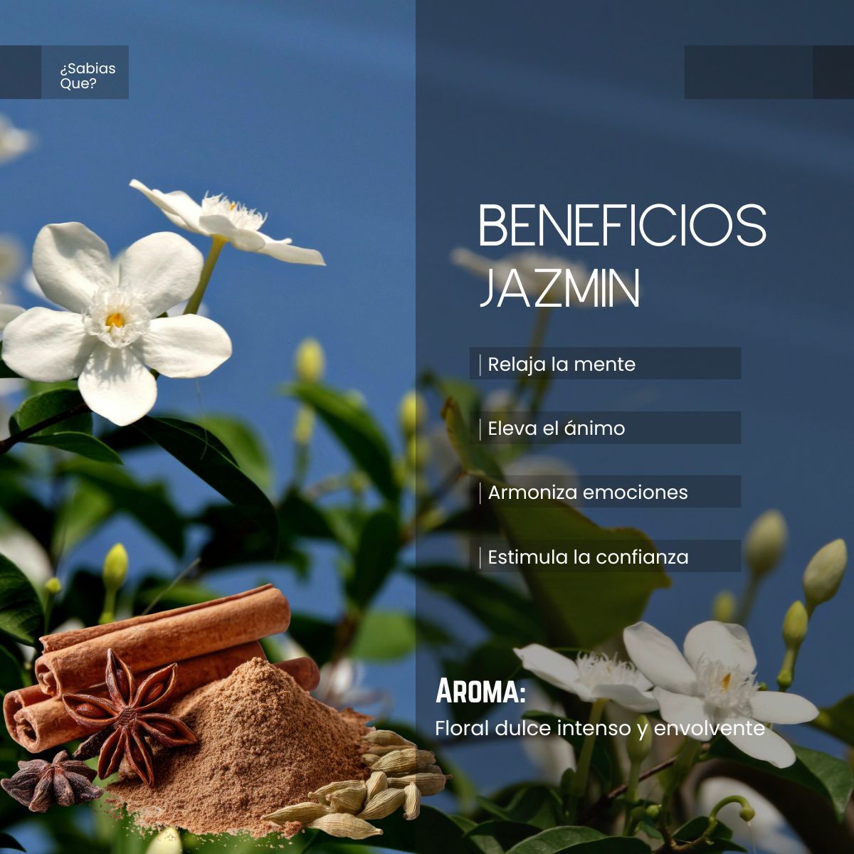 Aceite Aromático Jazmín Egipcio