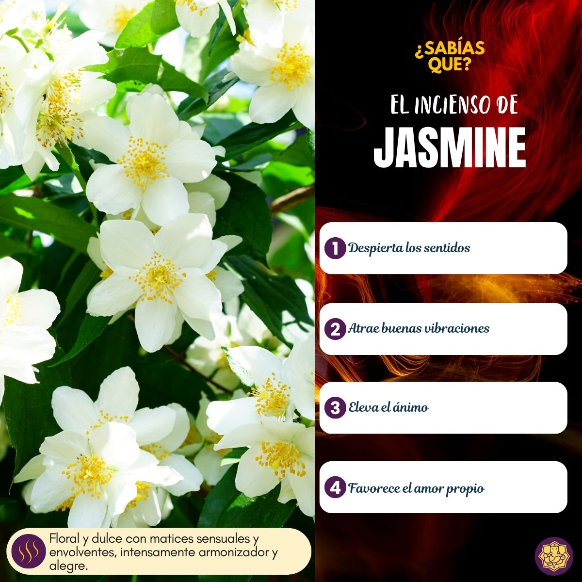 Incienso Cascada Nature's Jasmine 24 conos