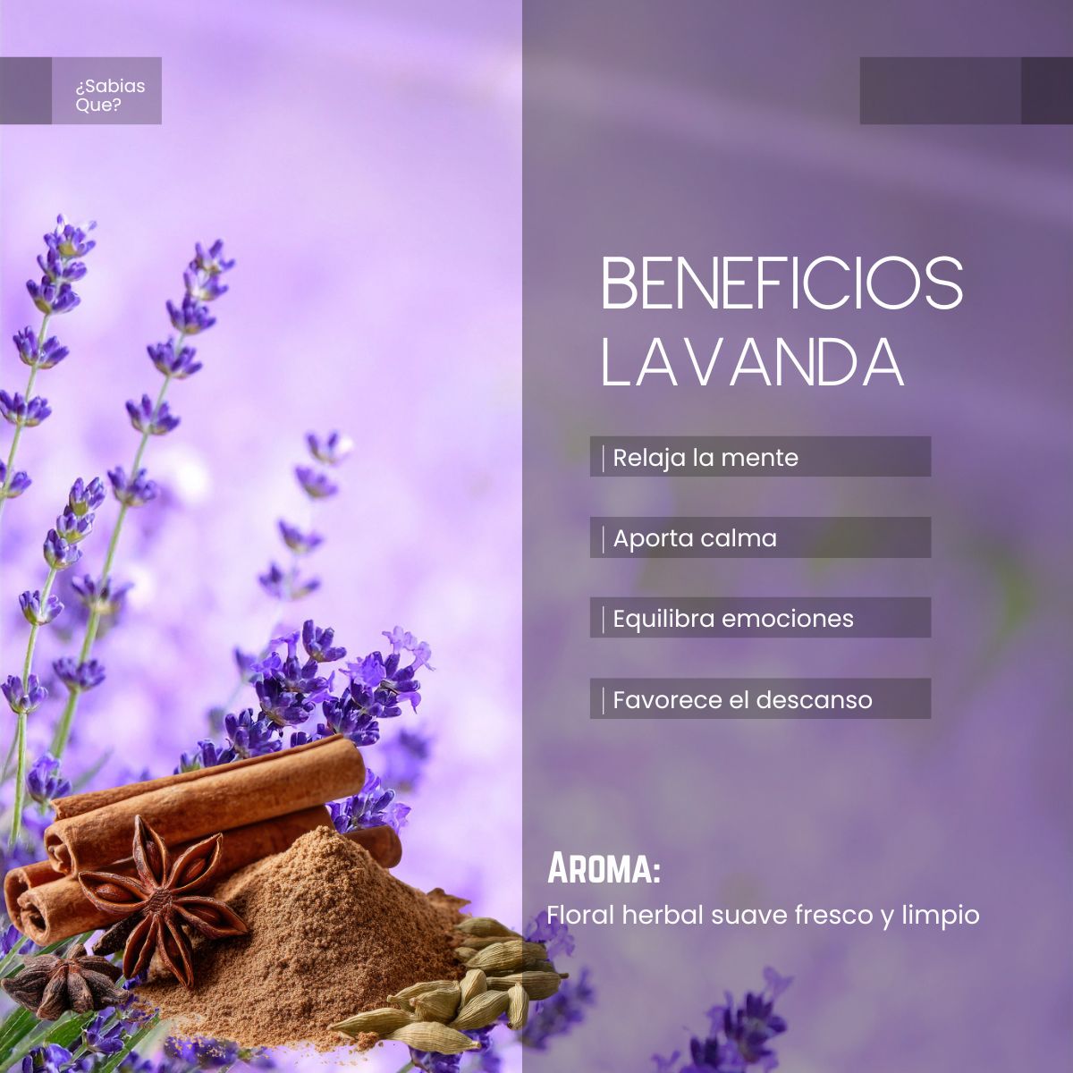 Aceite Aromático Lavanda Francesa