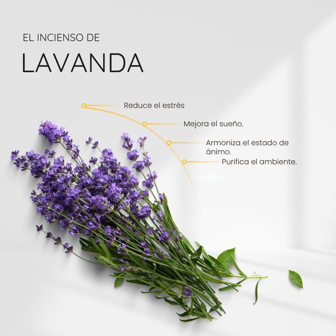 Incienso Organico Lavanda