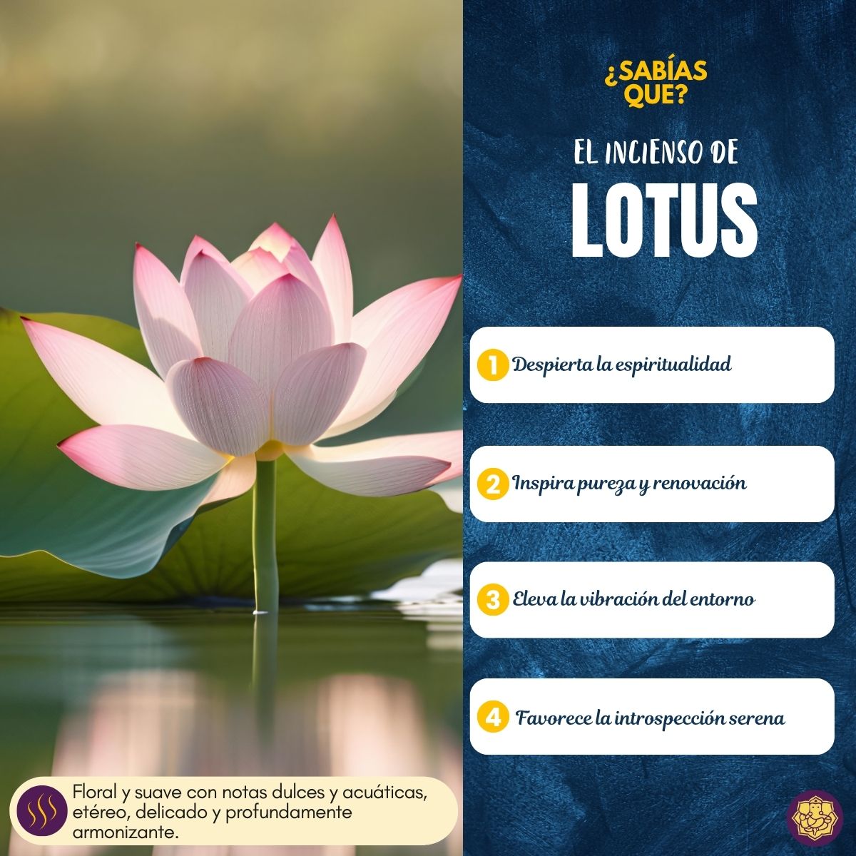 Incienso Premium Lotus