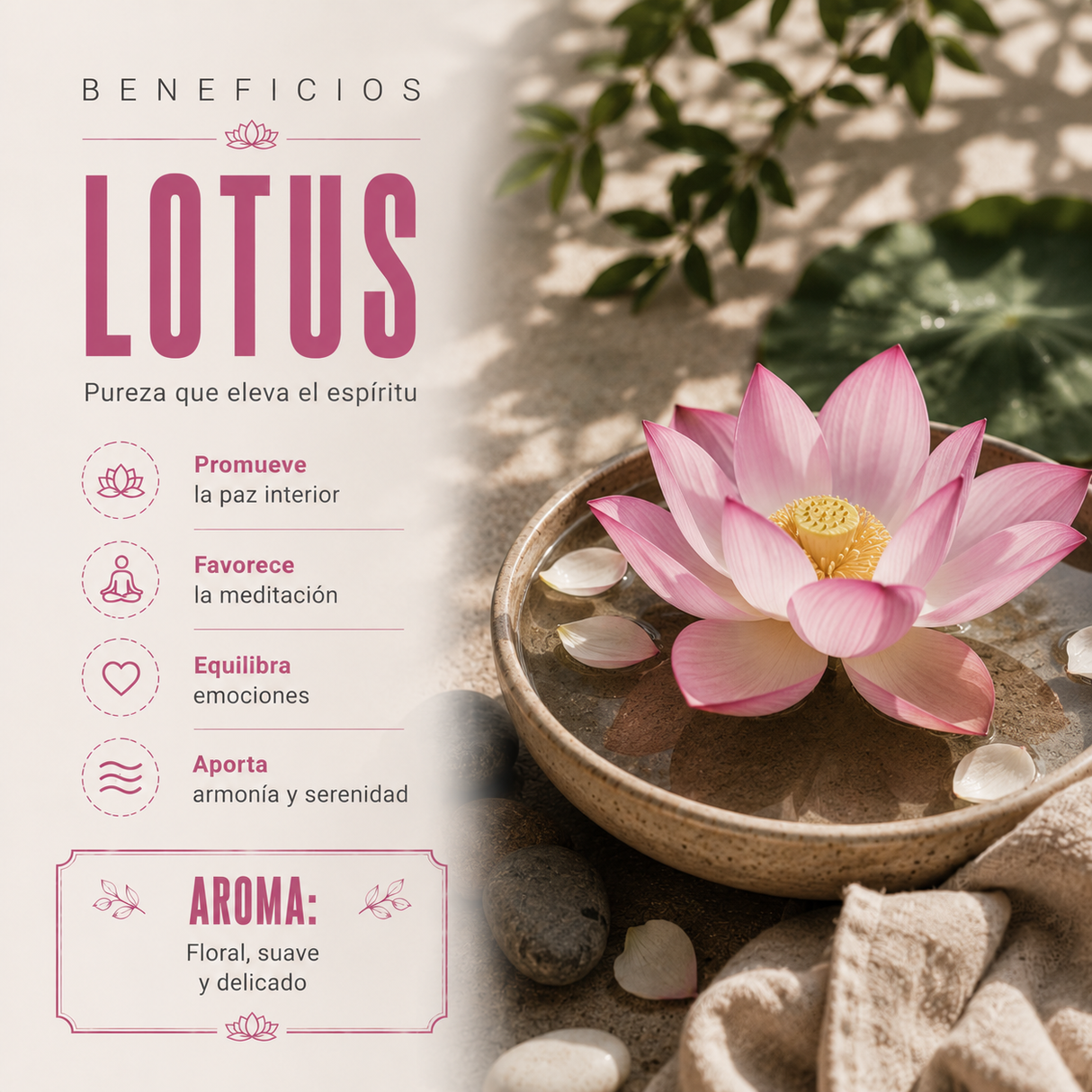 Aceite Aromático Lotus
