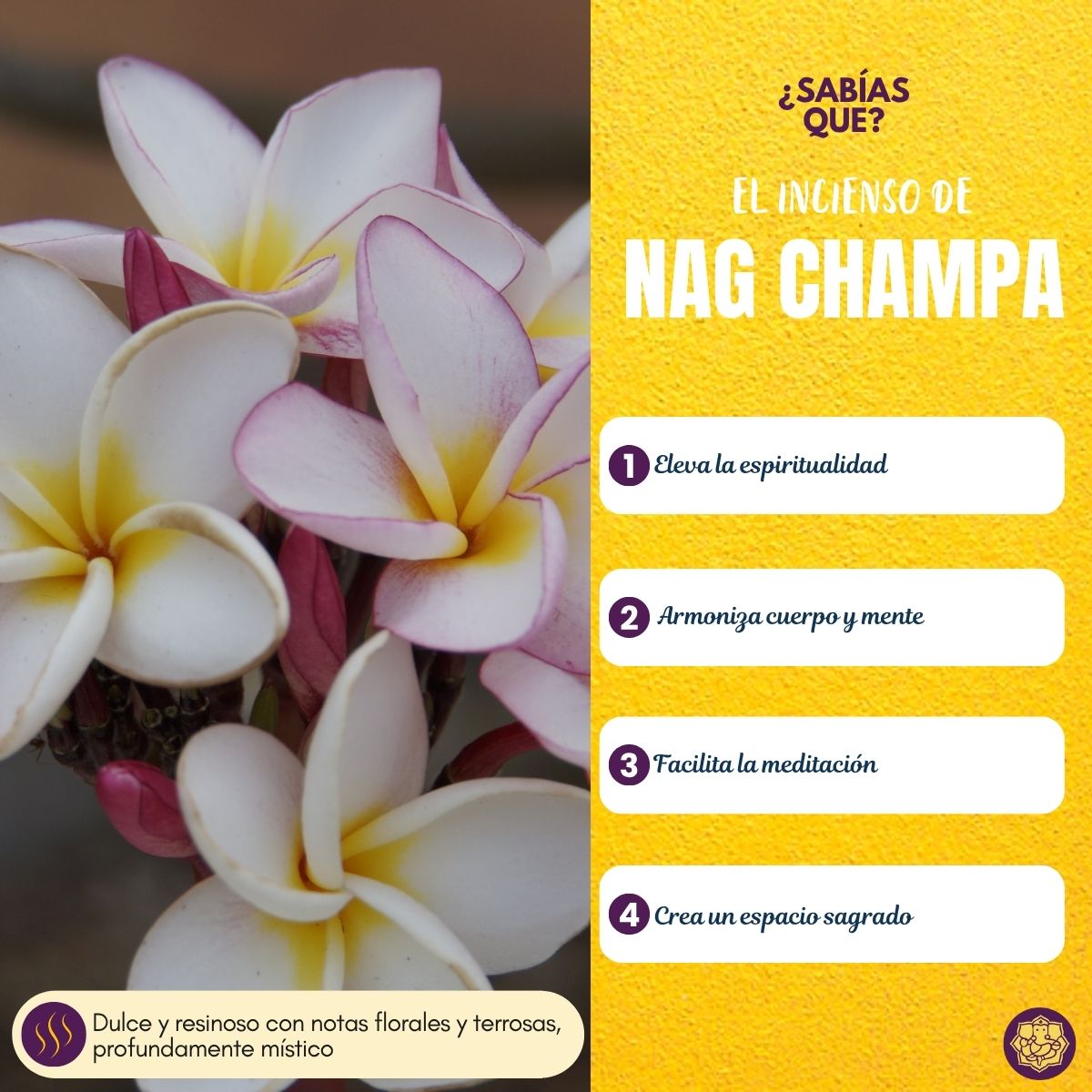 Incienso Golden Nag Champa