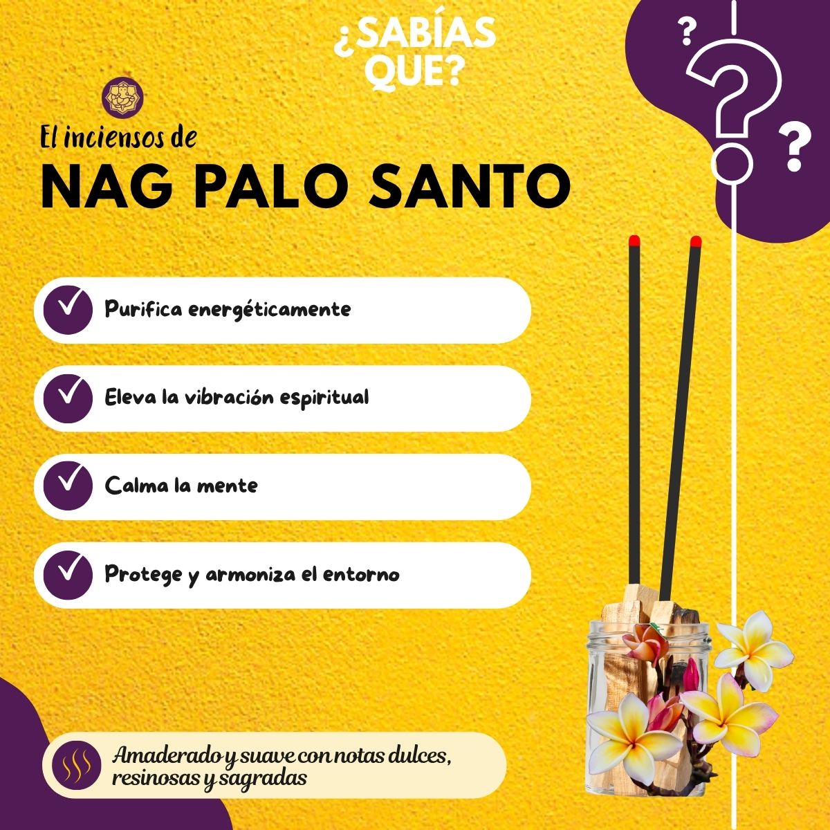 Incienso Jumbo Nag Champa y Palo Santo