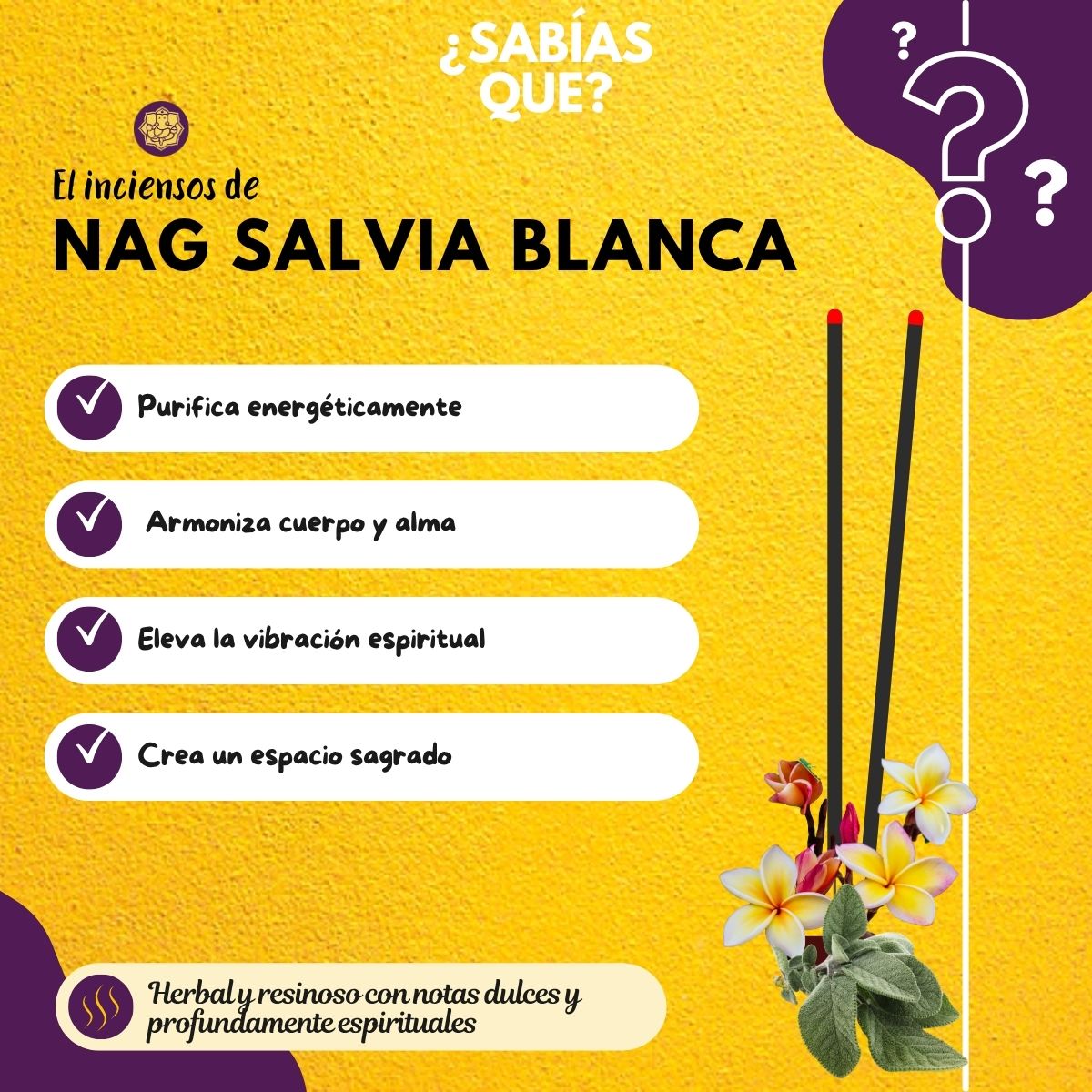Incienso Jumbo Nag Champa y Salvia Blanca