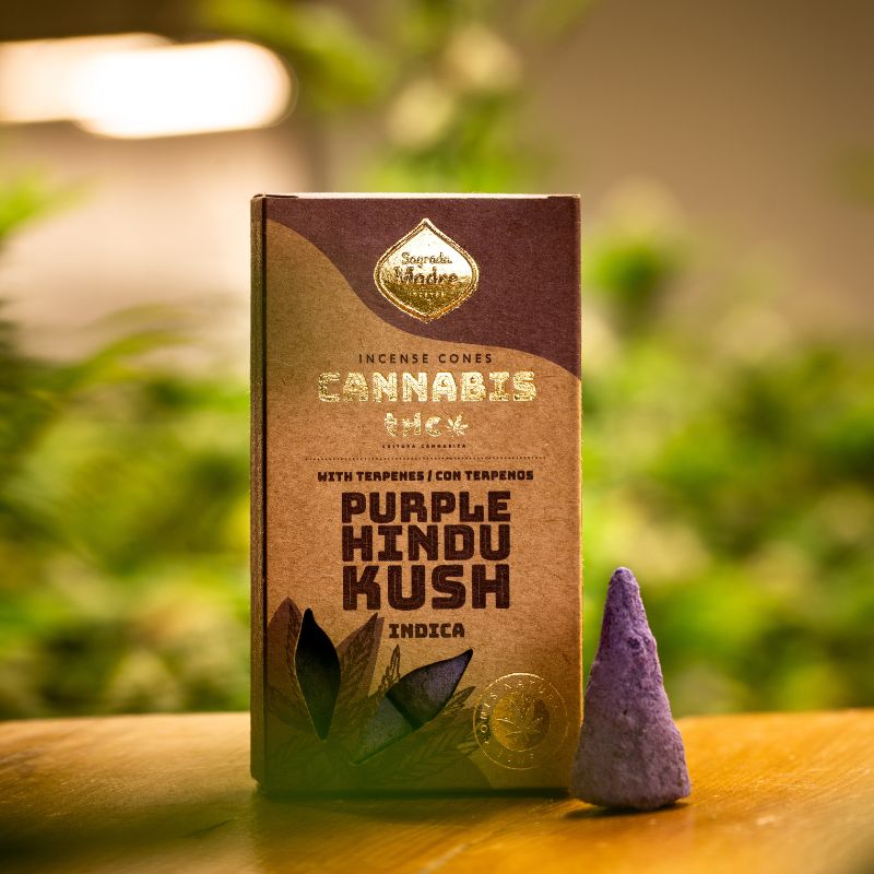 Sahumerio Cono Grow Purple Kindu Kush