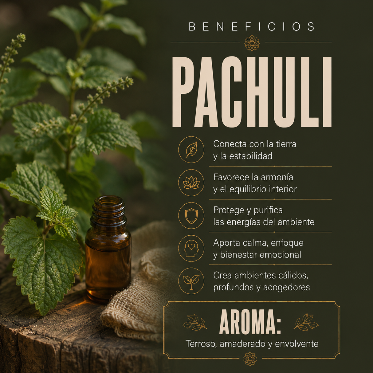 Incienso Duo Nag Champa y Pachuli Picante