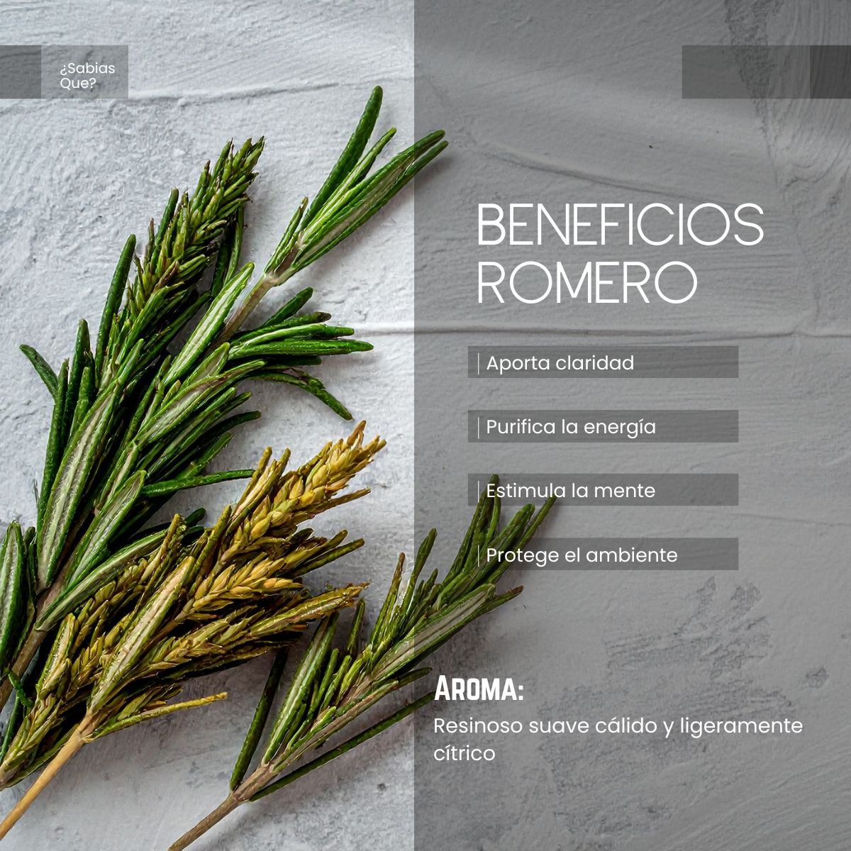 Aceite Aromático Romero Español