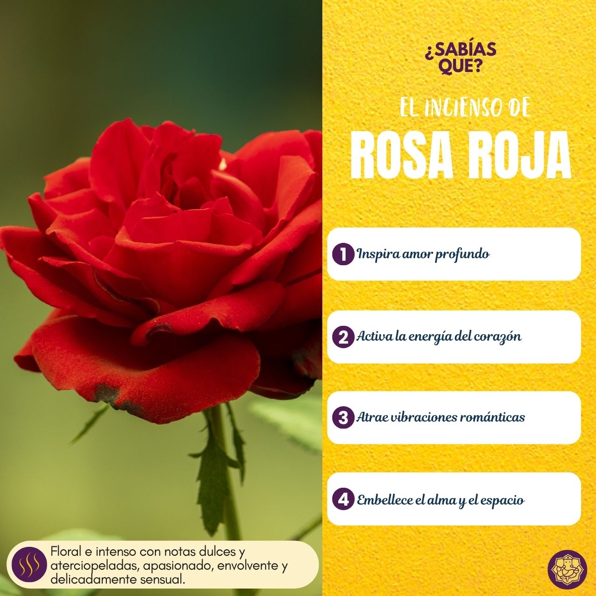 Incienso Golden Nag Red Rose
