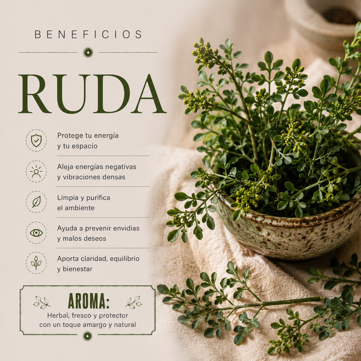 Incienso Masala Ruda