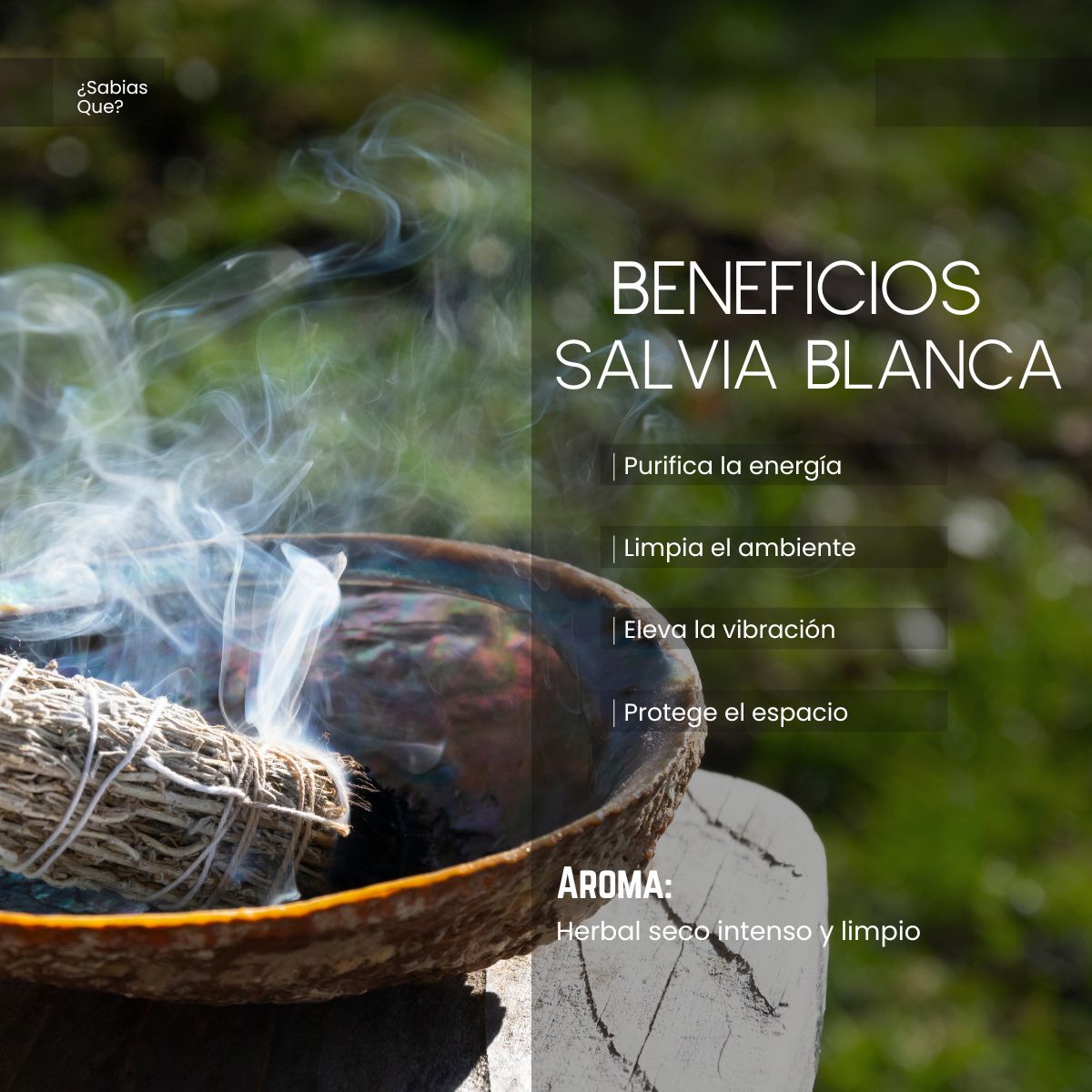 Aceite Aromático de Salvia Blanca