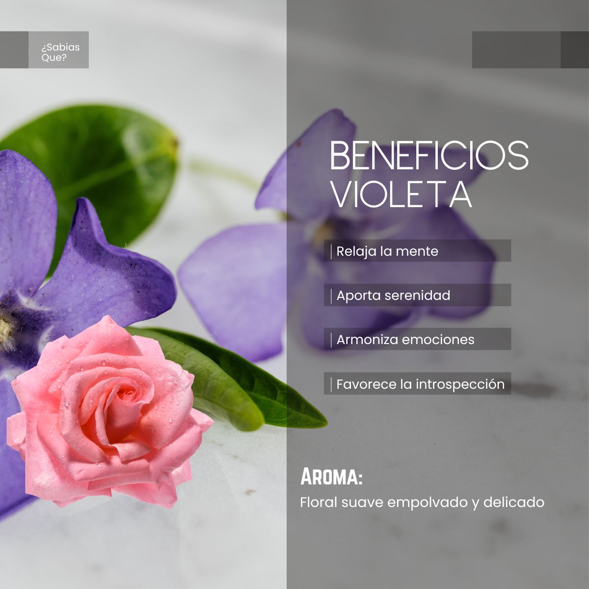 Aceite Aromático de Violeta
