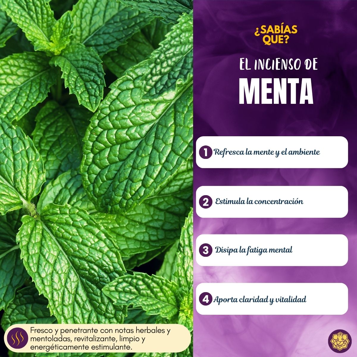 Incienso Popular Menta Fresca