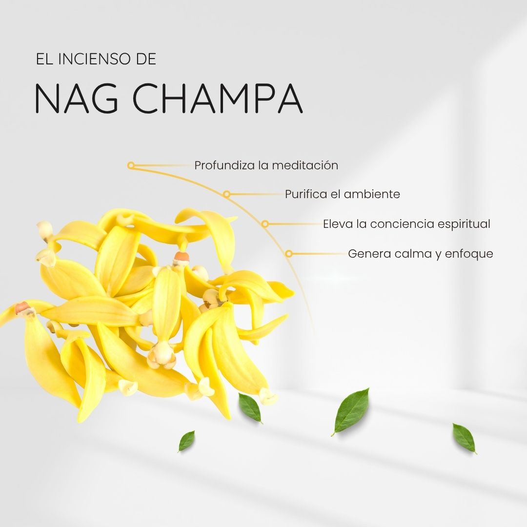 Incienso Nag Champa con Piedra Amatista