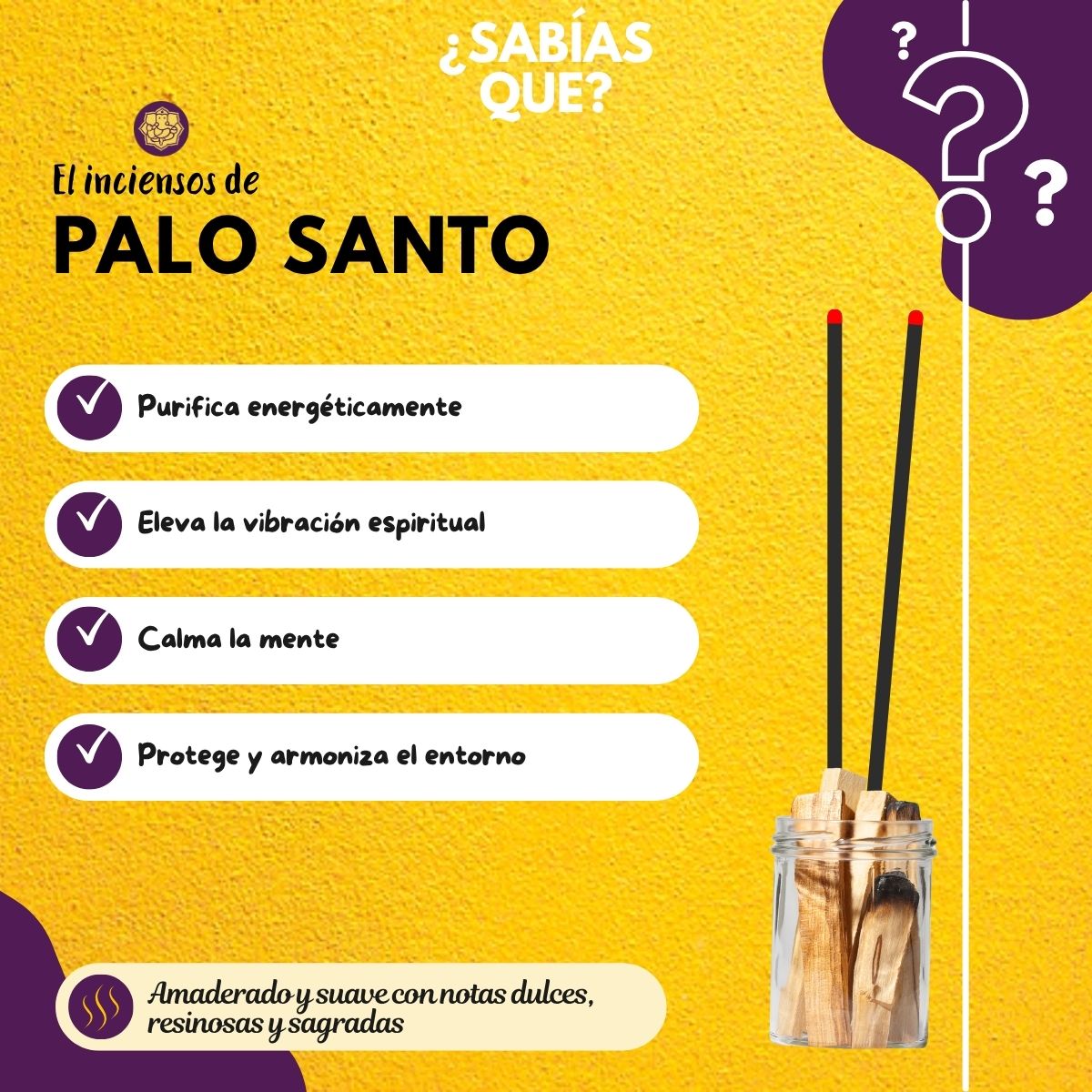 Incienso en Cono Palo Santo