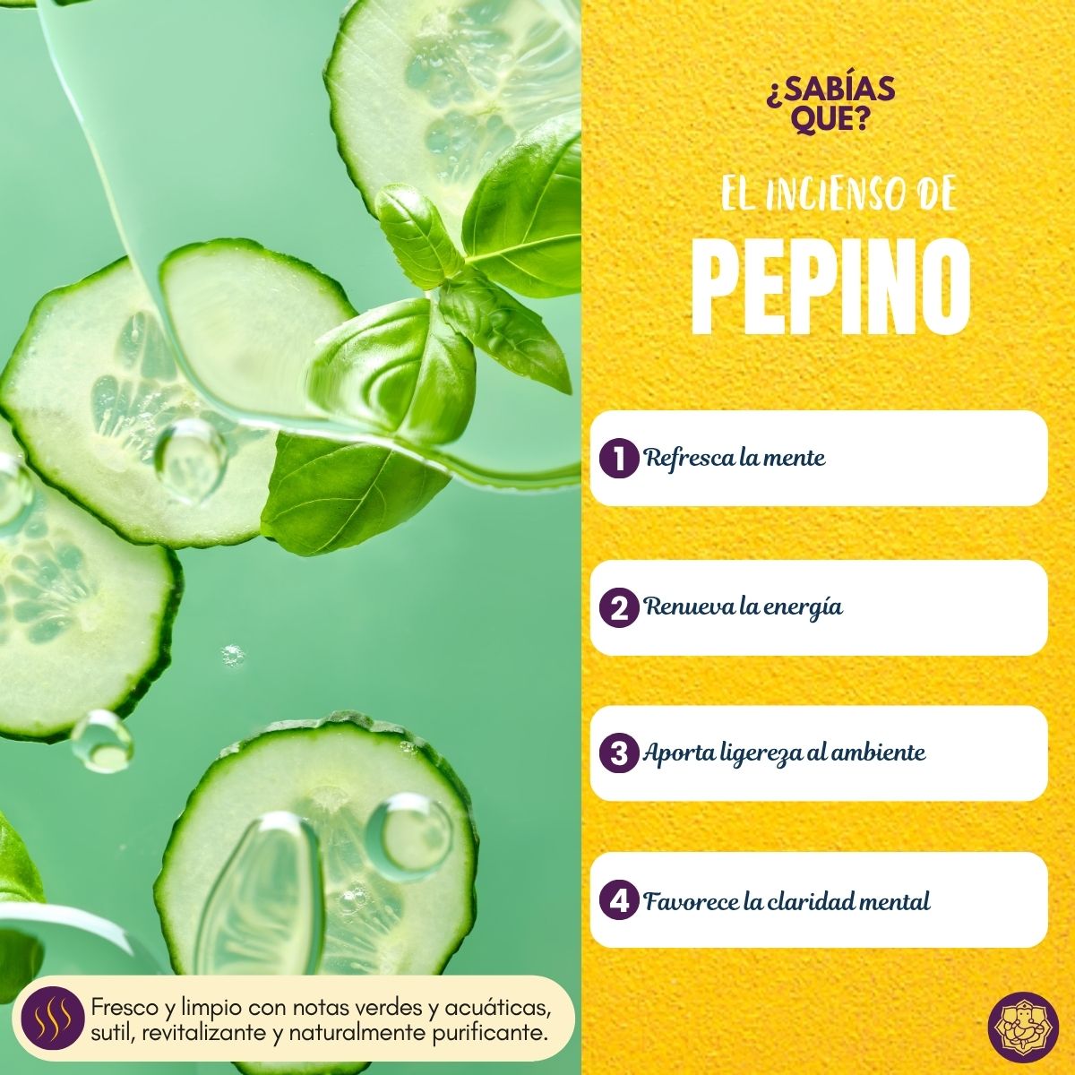 Incienso Aromaterapia Pepino