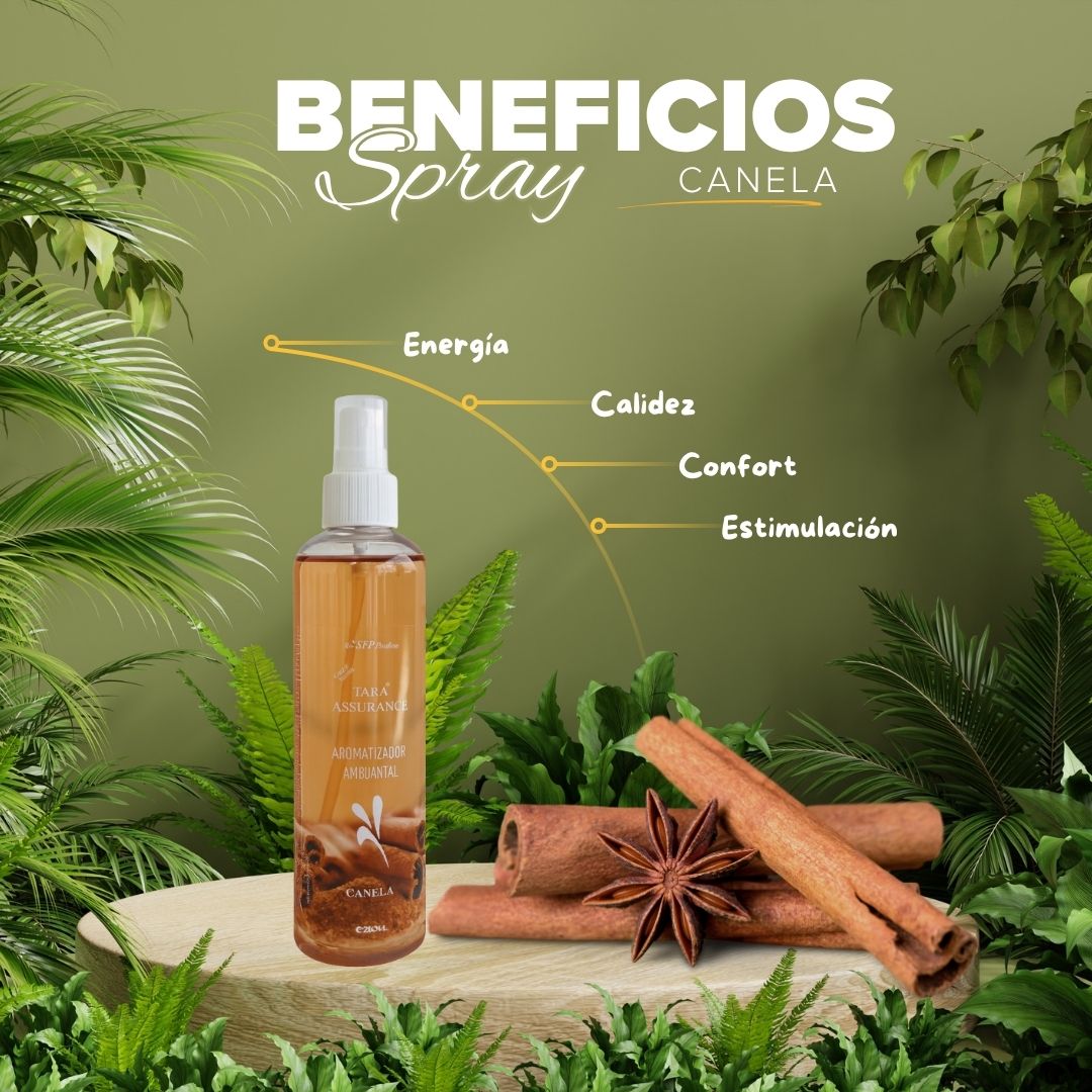 Aromatizante Spray Canela 250mL