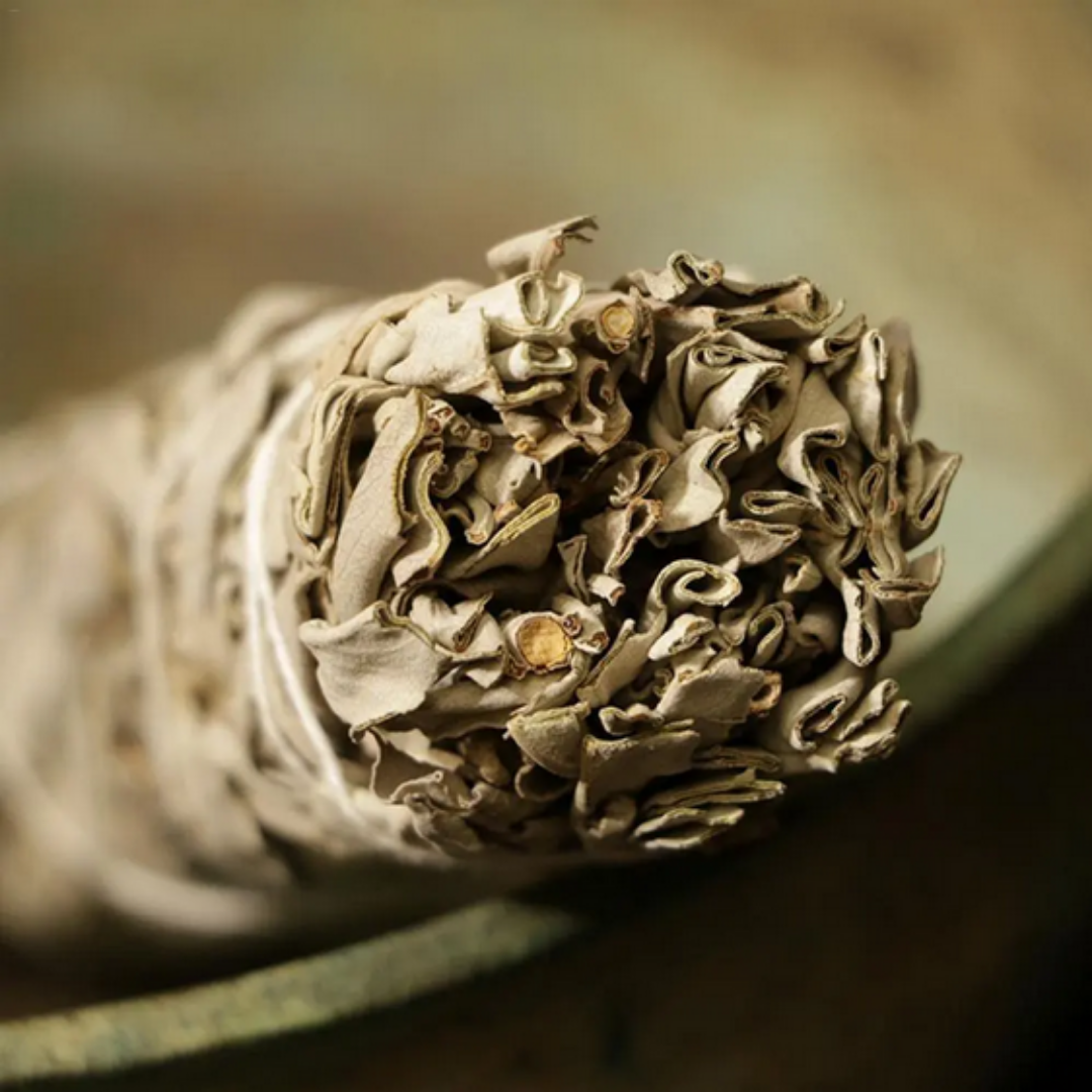 Sahúmo de Salvia Blanca