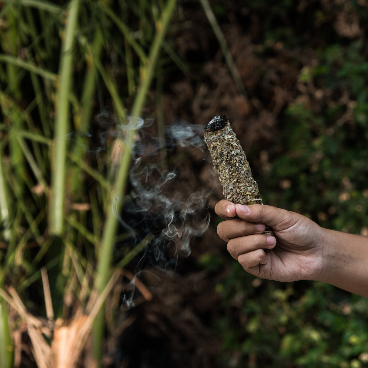 Sahúmo de Salvia Blanca