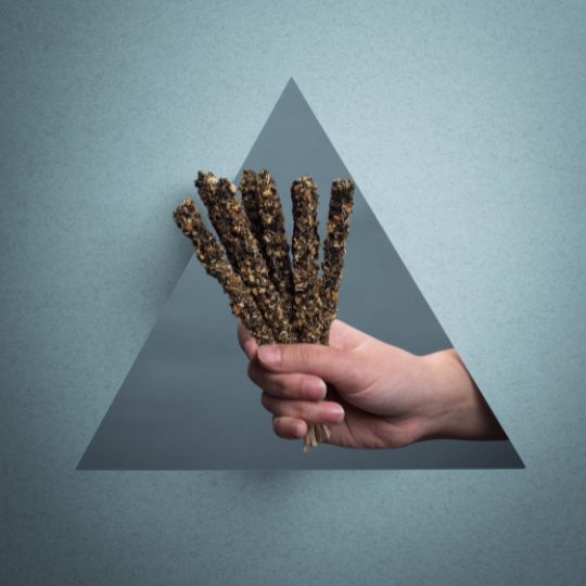 Sahumerio Energia Limpia RENACER