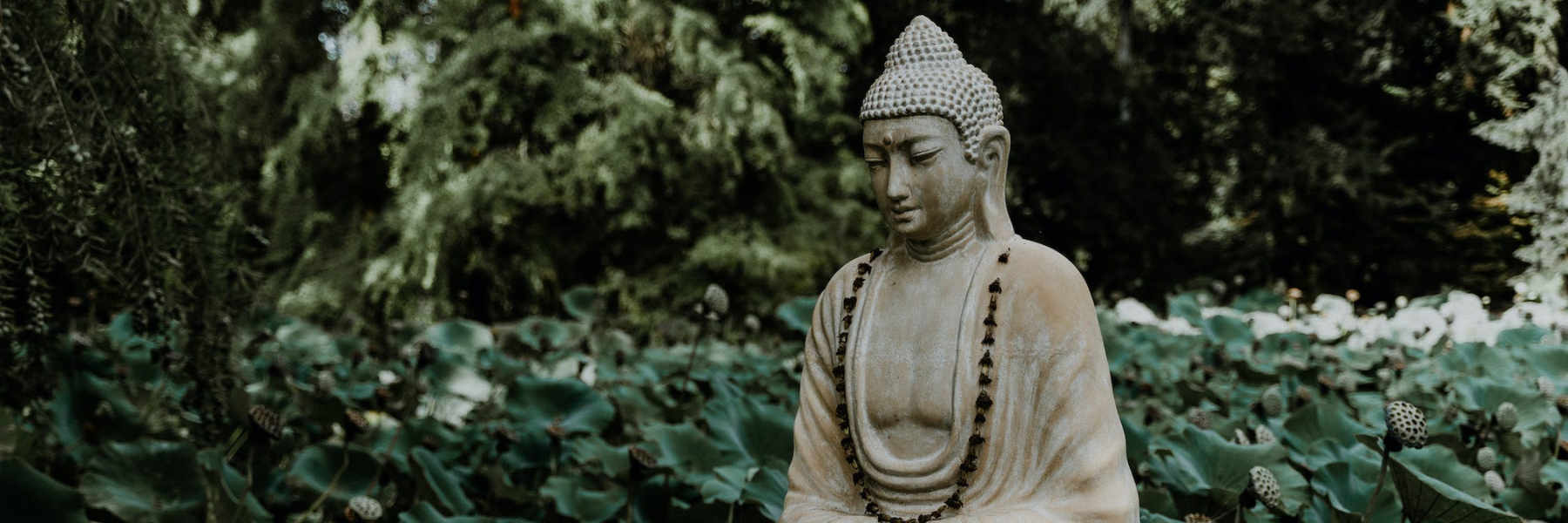 7 lugares para ubicar figuras de Budas en tu hogar.