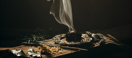 ✨ Guía completa de sahúmos de Salvia Blanca 🍃