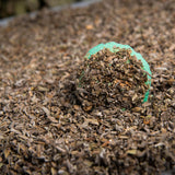 Pastillas Salvia Blanca