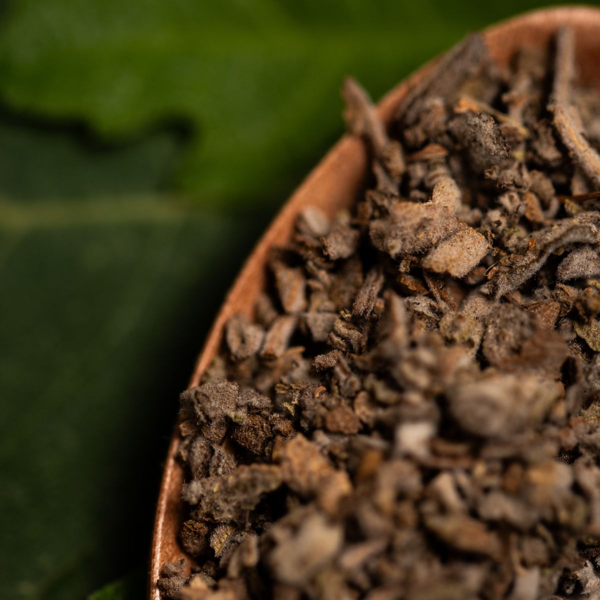 Sahumerio Salvia Blanca Natural