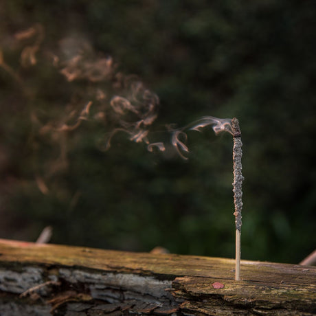 Sahumerio Copal Natural