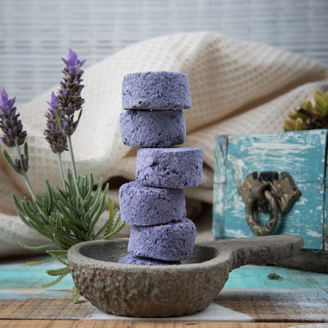 Carbón Lavanda 24u