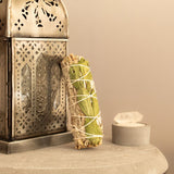 5 Sahúmos Surtidos - Renacer