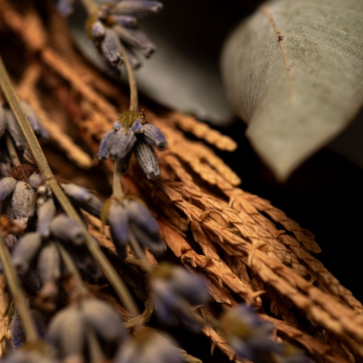 Sahúmo Sagrado 10 Hierbas