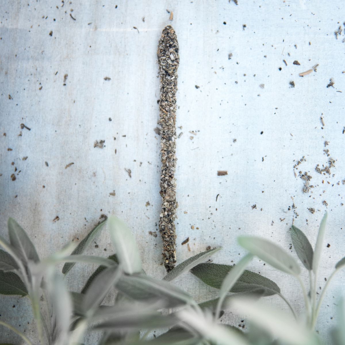 Sahumerio Salvia Blanca