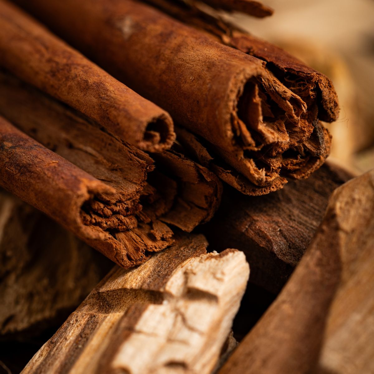 Sahumerio Palo Santo con Canela