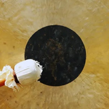 Gong Chau 60cm