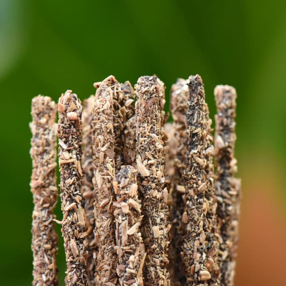 Sahumerio Palo Santo