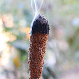 Sahúmo Sagrado 10 Hierbas