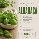 Aceite Esencial Albahaca