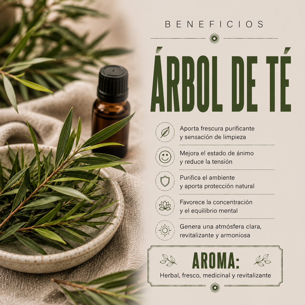 Aceite Esencial Árbol de Té