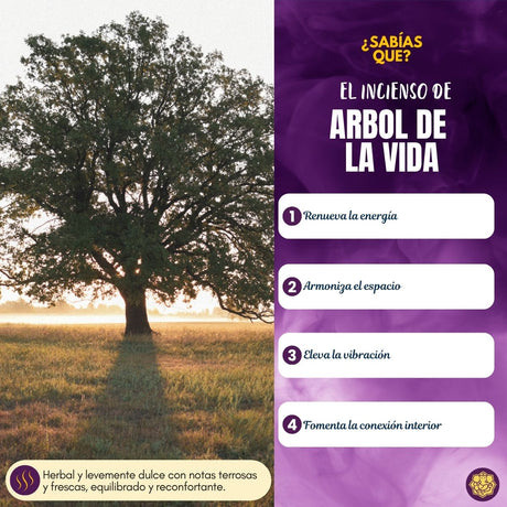 Incienso Cascada Árbol de la Vida 10 Conos - Balaji