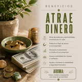 Copitas de Incienso Atrae Dinero 12 copas