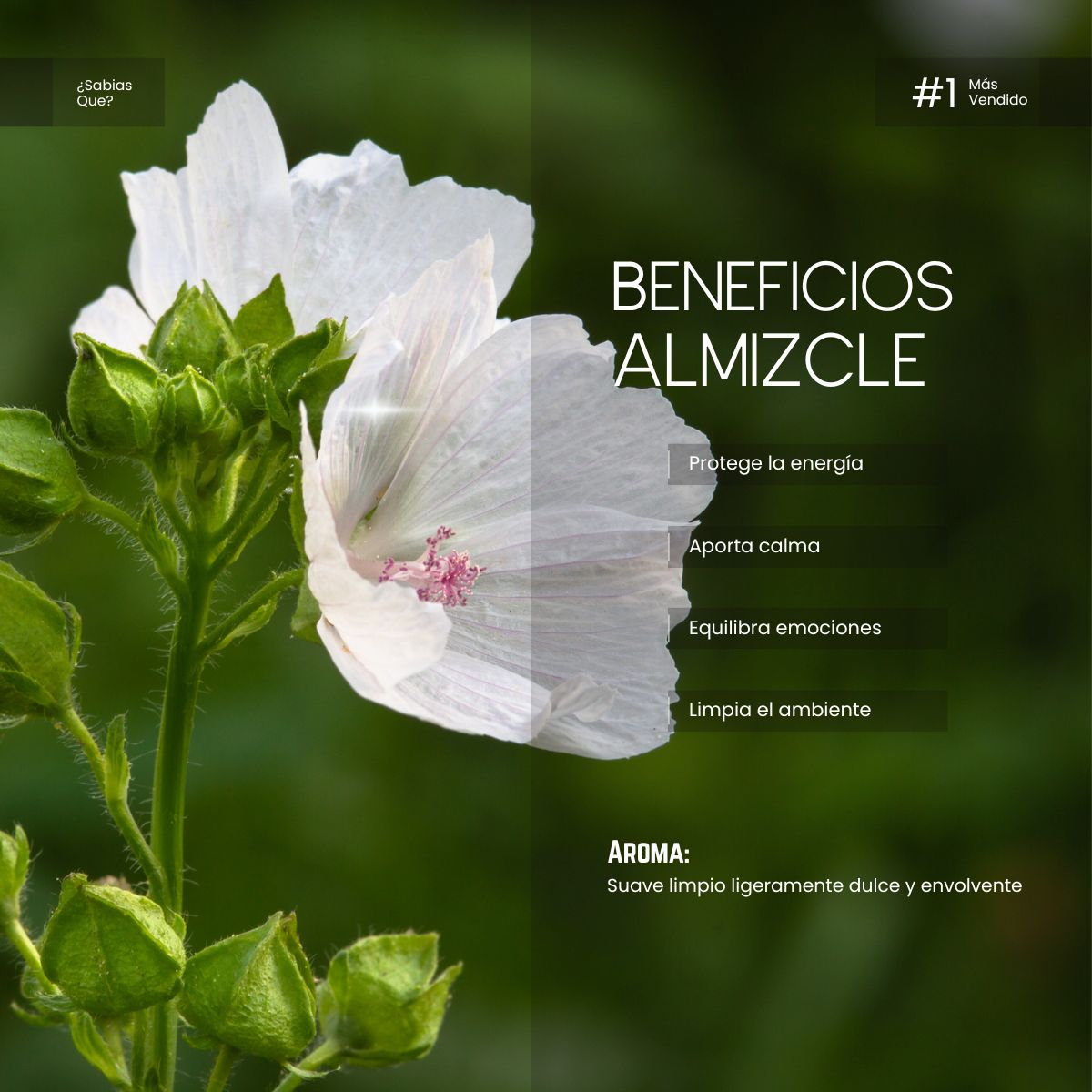 Aceite Aromático Almizcle Blanco del Himalaya