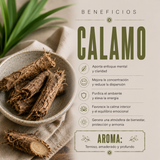 Aceite Esencial Cálamo